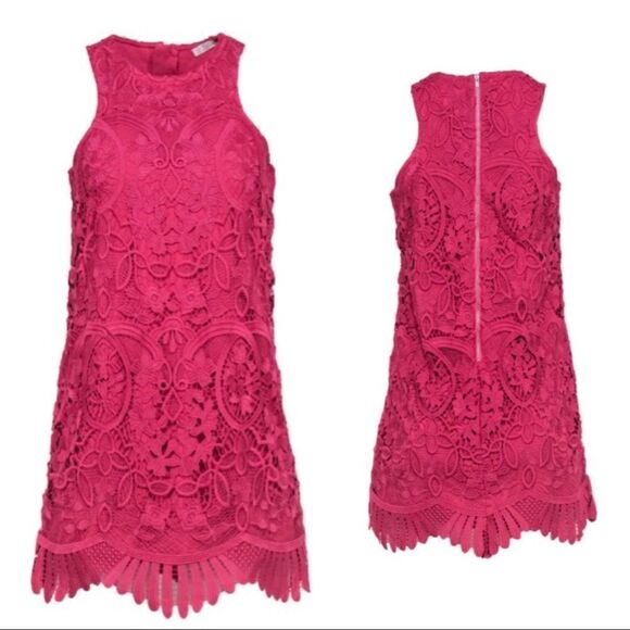 Lovers + Friends Pink Lace Fitted Dress w/ Exposed Back Zipper - Picture 1 of 10